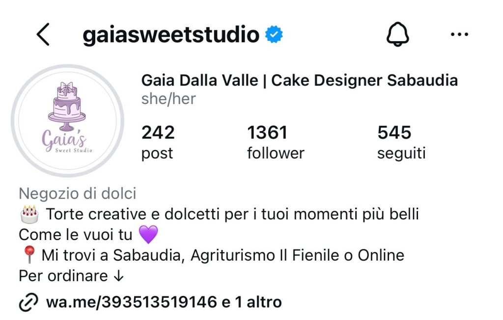 Come scrivere biografia Instagram: un esempio pratico da cui puoi prendere ispirazione